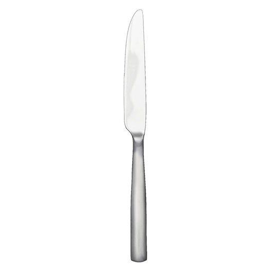 Gingko International Simple Dinner Knife