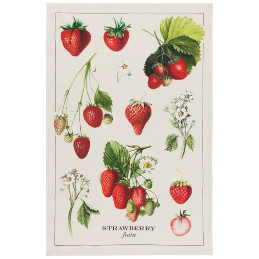 Now Designs by Danica Vintage Strawberries Cotton Dishtowel