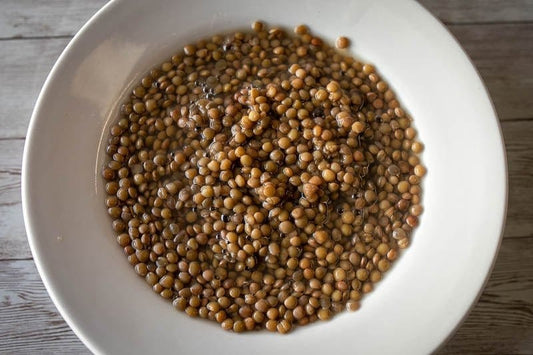 Rancho Gordo Puglia Lentils - 1 lb.