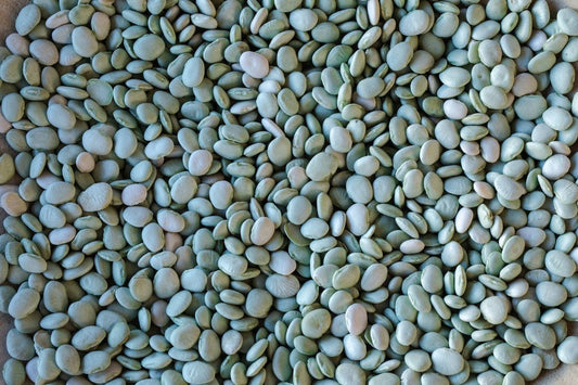 Rancho Gordo Green Baby Lima Beans
