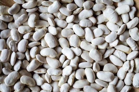 Rancho Gordo California Corona Beans, 1lb.