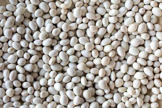 Rancho Gordo Caballero Beans - 1 lb.