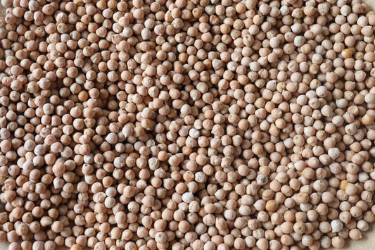 Rancho Gordo Ceci Piccoli Beans - 1 lb.