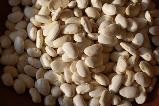Rancho Gordo Classic Cassoulet Beans - 1 lb.