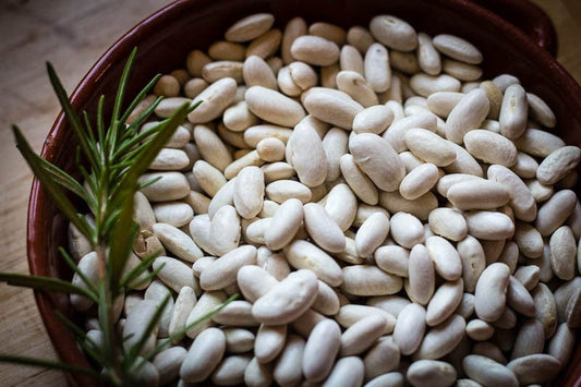 Rancho Gordo Marcella Beans - 1 lb.