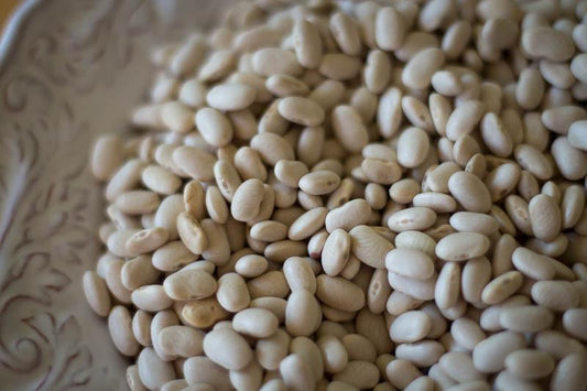 Rancho Gordo Alubia Blanca Beans - 1 lb.