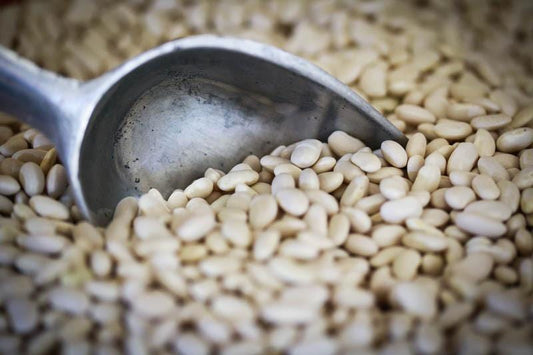 Rancho Gordo Ayocote Blanco Beans - 1 lb.