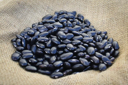 Rancho Gordo Ayocote Negro Beans - 1 lb.