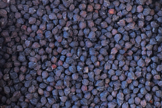 Rancho Gordo Black Garbanzo Beans - 1 lb.
