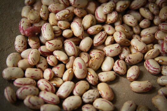 Rancho Gordo Cranberry Beans - 1 lb.