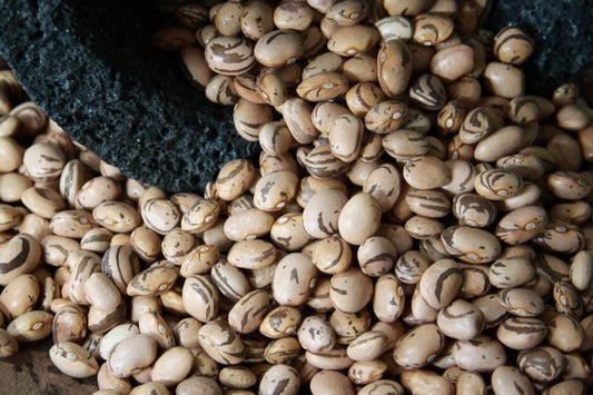 Rancho Gordo Occhio Della Capra (Eye of the Goat) Beans  - 1 lb.