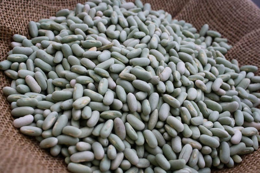 Rancho Gordo Flageolet Beans - 1 lb.
