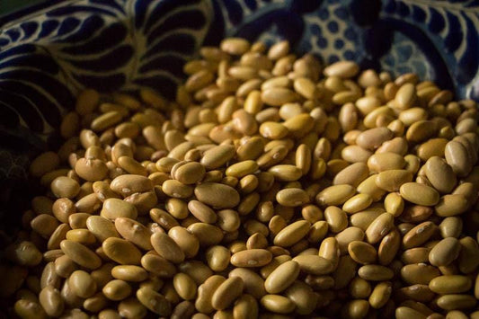 Rancho Gordo Mayocoba Beans - 1 lb.