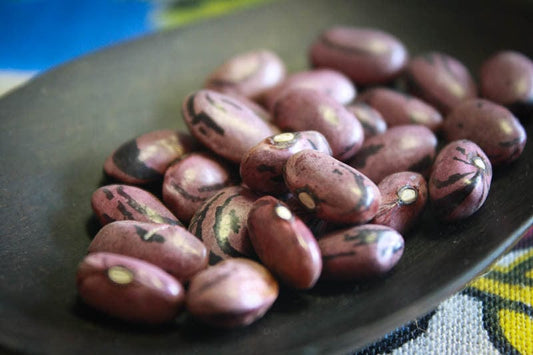 Rancho Gordo Rio Zape Beans - 1 lb.