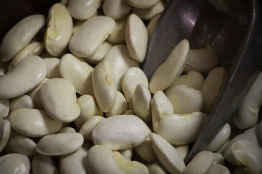 Rancho Gordo Royal Corona Beans - 1 lb.