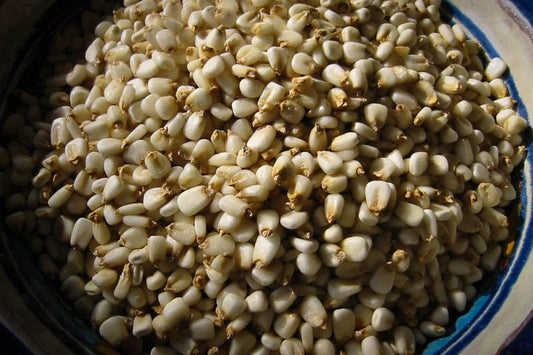 Rancho Gordo White Corn Posole Prepared Hominy - 1 lb.