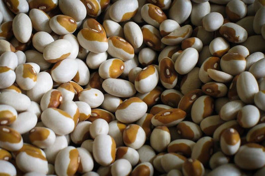 Rancho Gordo Yellow Eye Beans - 1 lb.